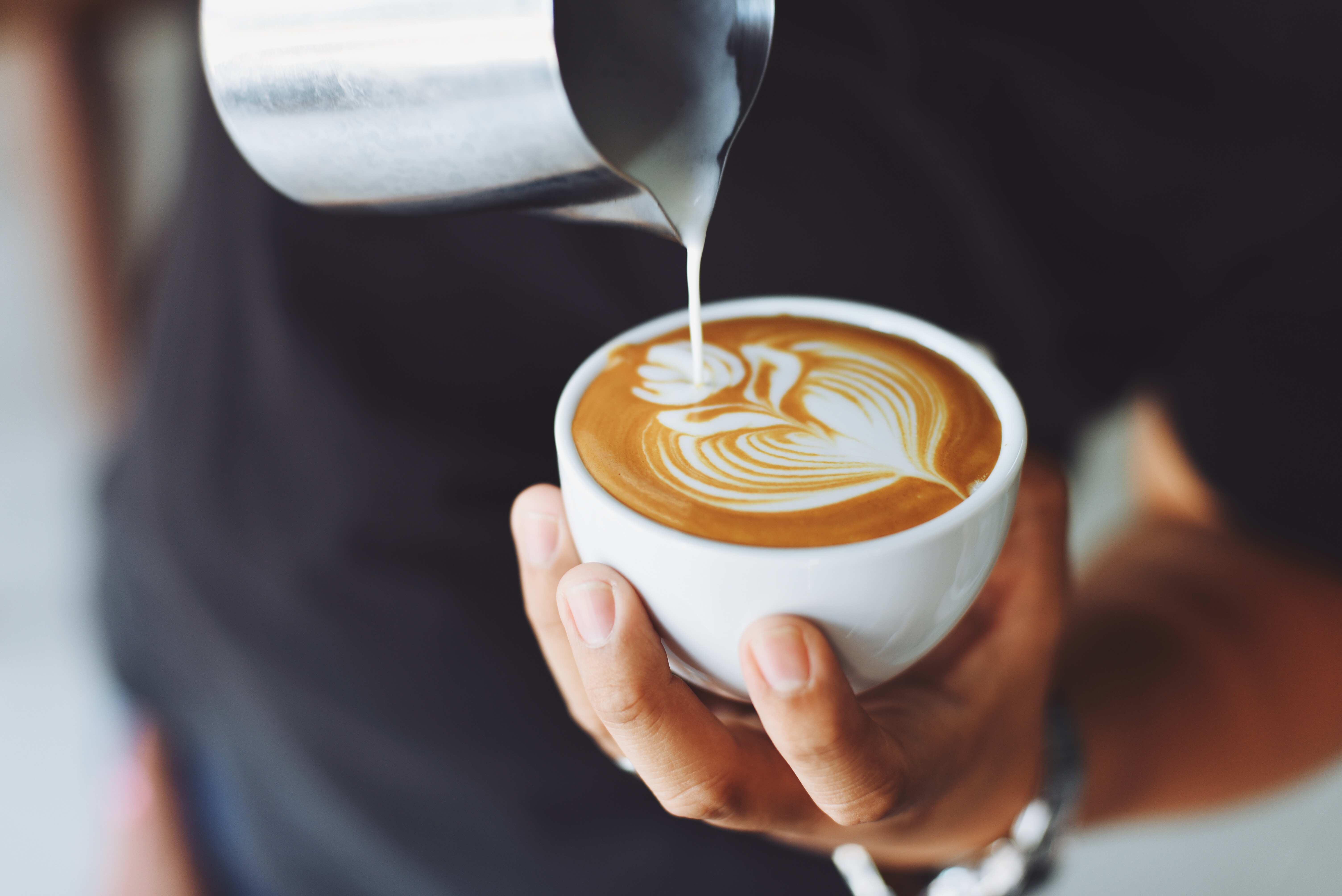 Guide: Top 8 Local Coffee Shops in Tampa
