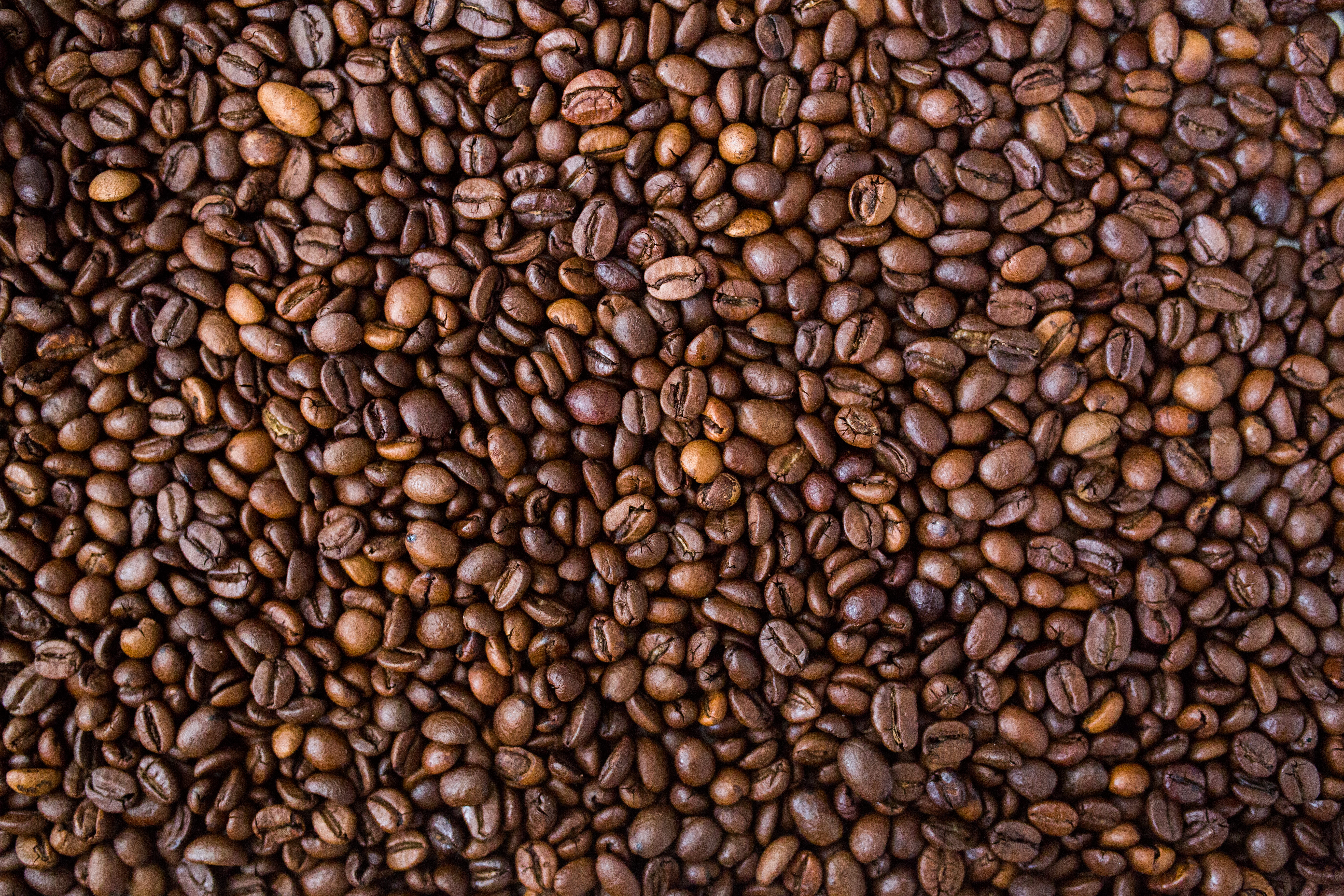 National Coffee Day 2017 Tampa Bay: Deals & Freebies