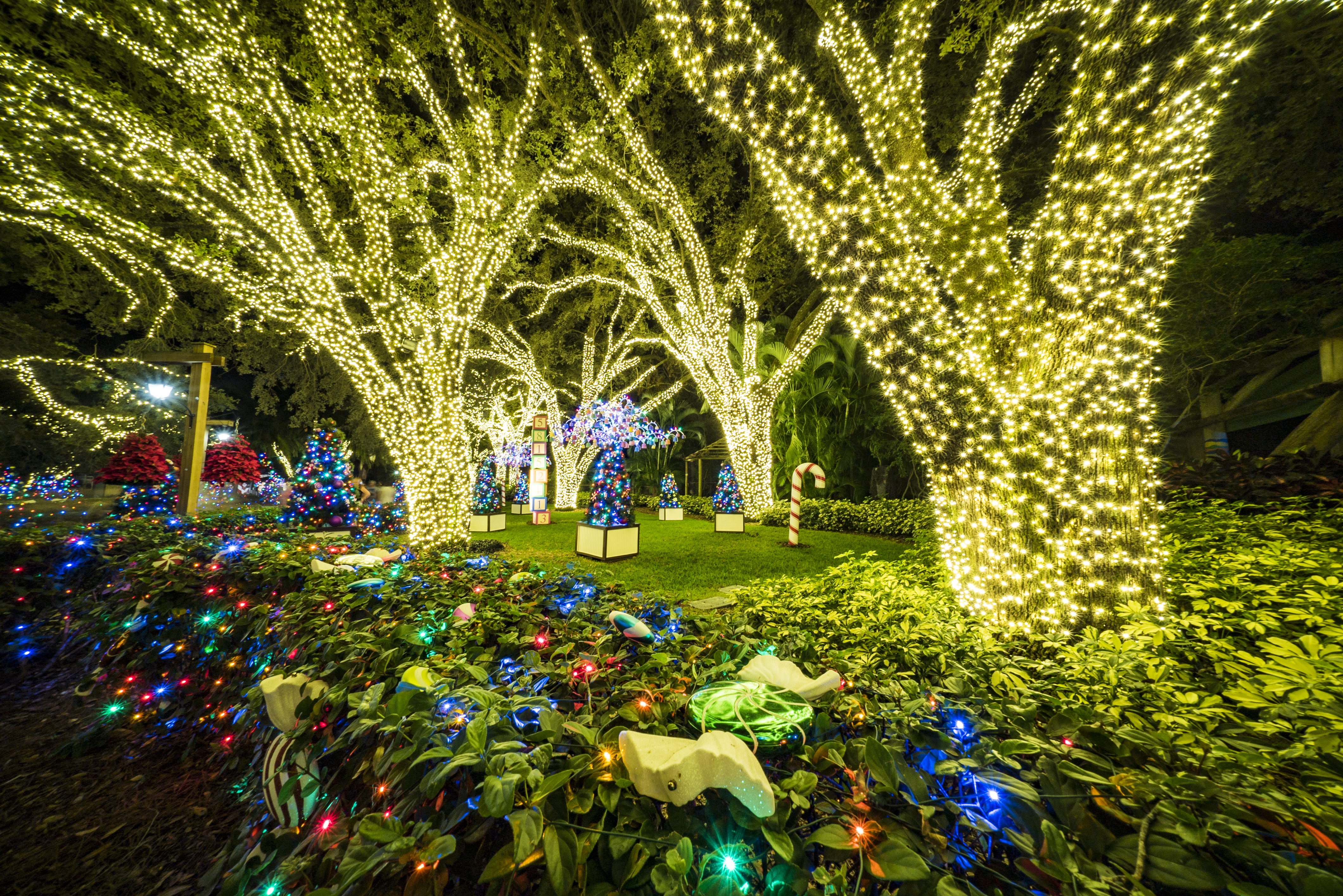 Busch Gardens Christmas Town now open