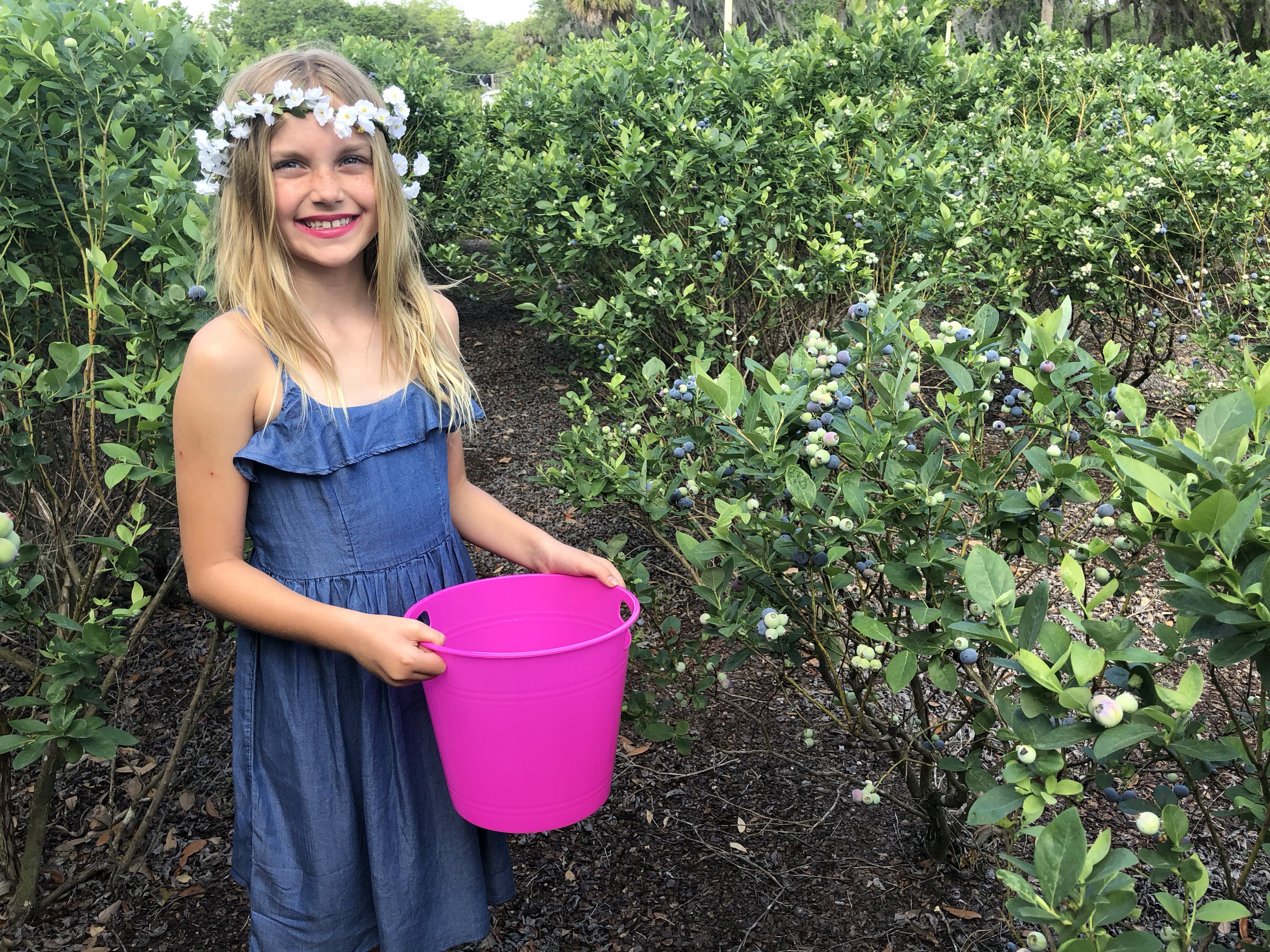 11th Annual Blueberry Festival wraps up this weekend