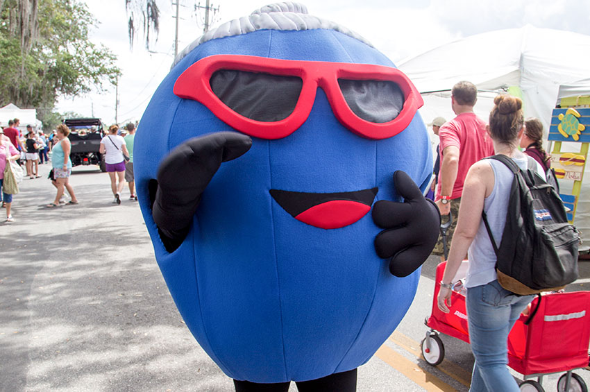 Official Florida Blueberry Festival coming to Kissimmee March 28th-March 31st
