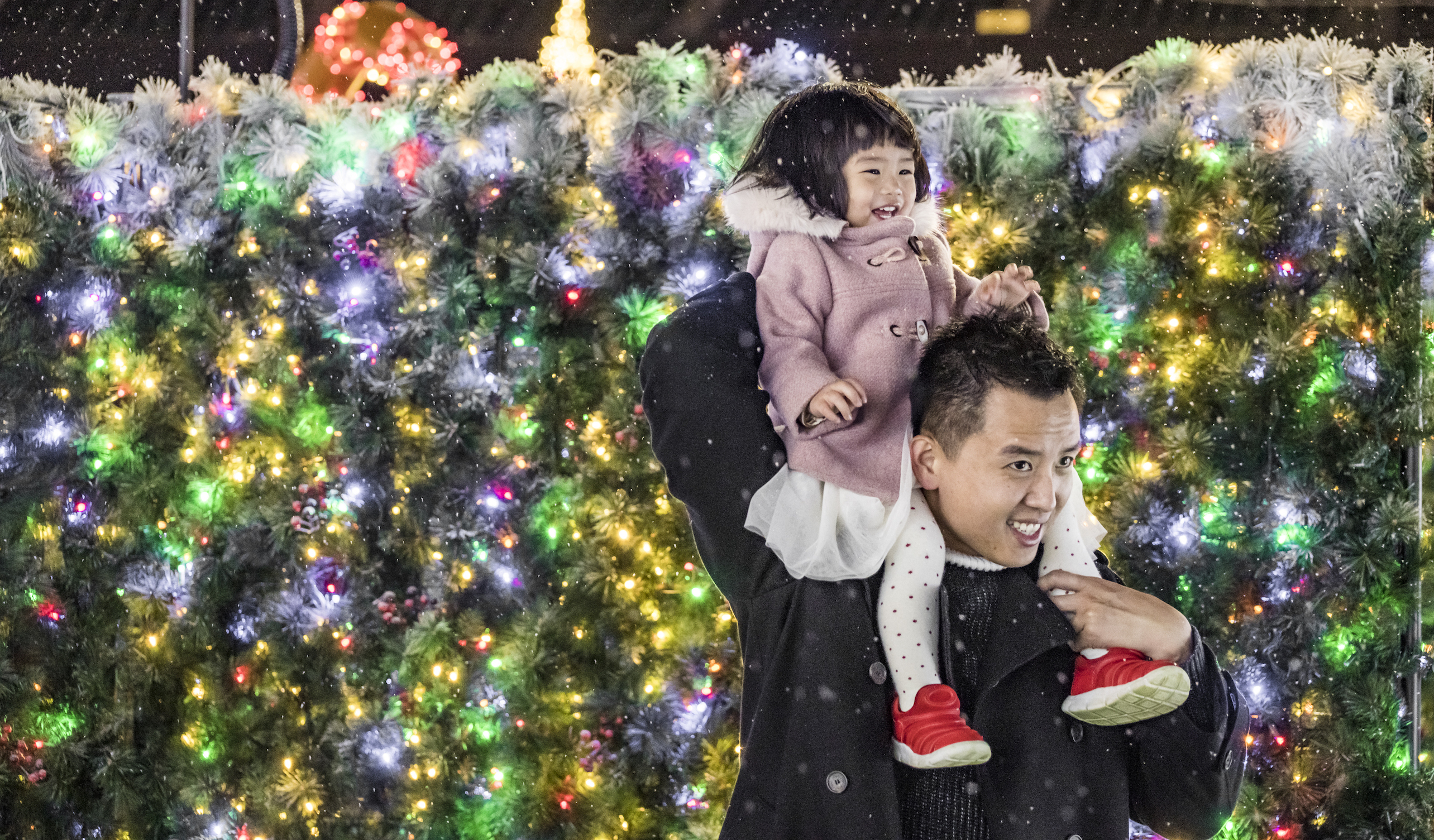 NEWS: World’s Largest Christmas Light Maze and Market coming November 22nd to St. Pete