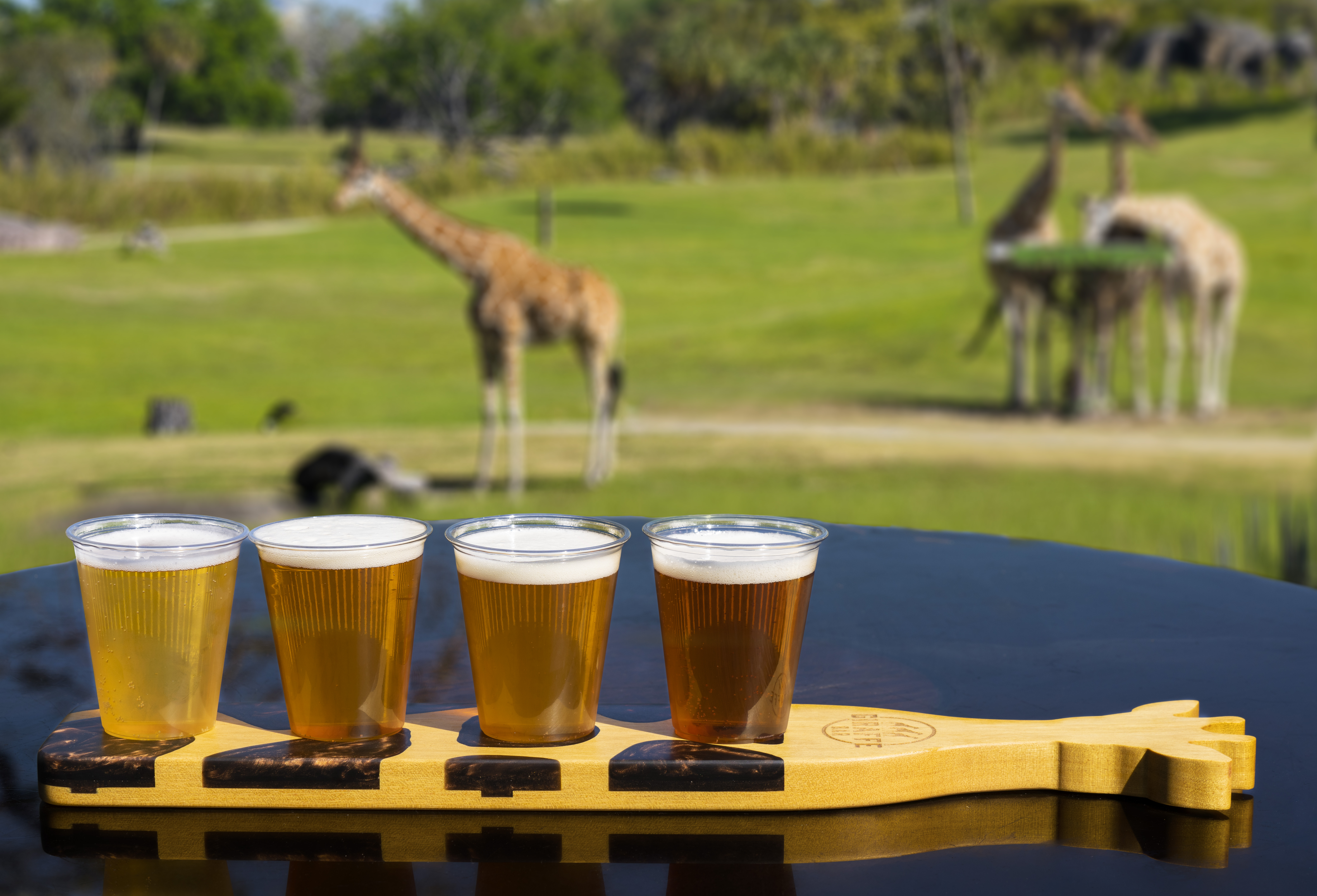 A Bar Overlooking The Serengeti? You Bet Giraffe I’ll Be There