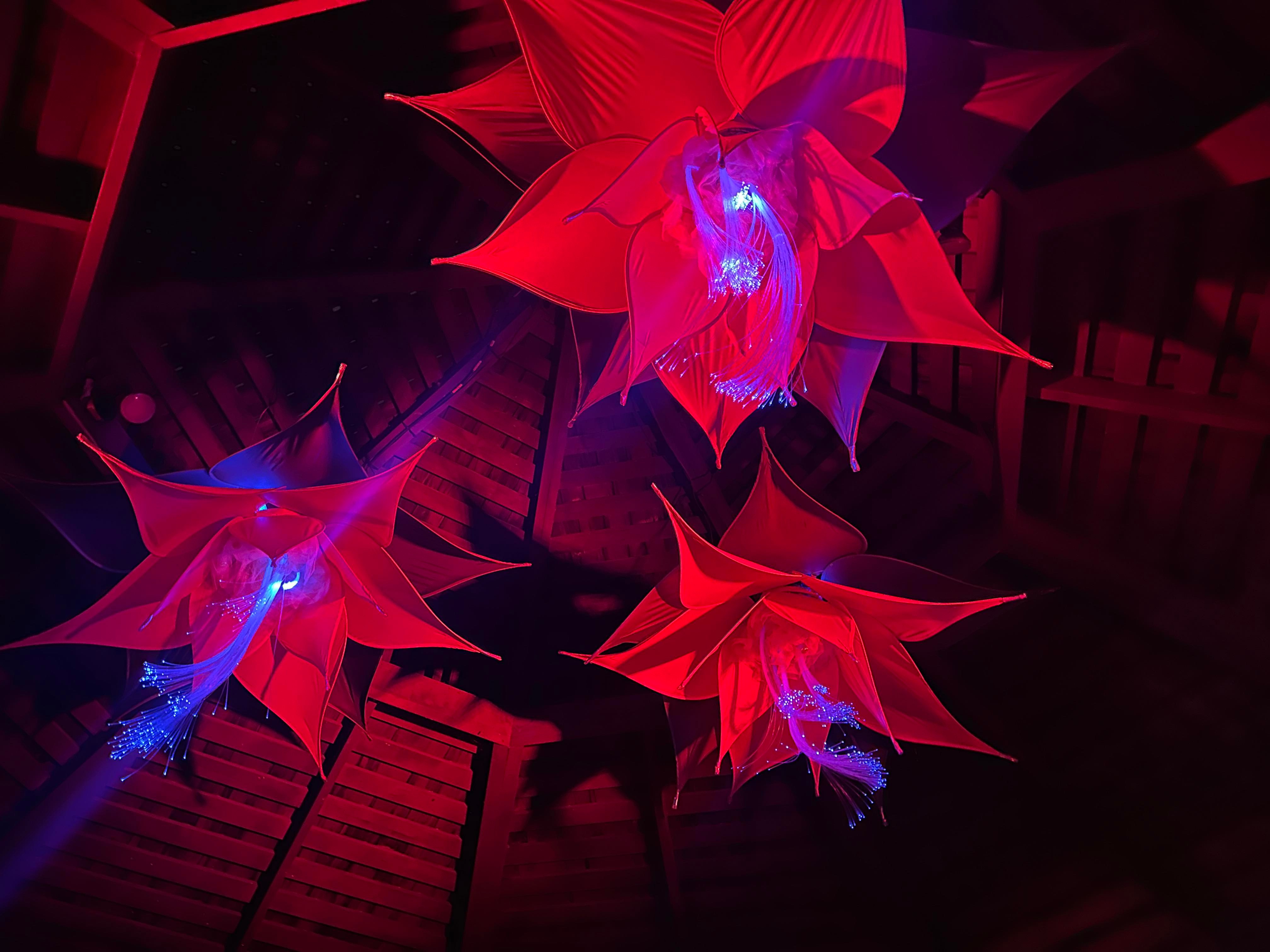 ‘Lightscape’ ends Jan. 8 at San Diego Botanic Garden