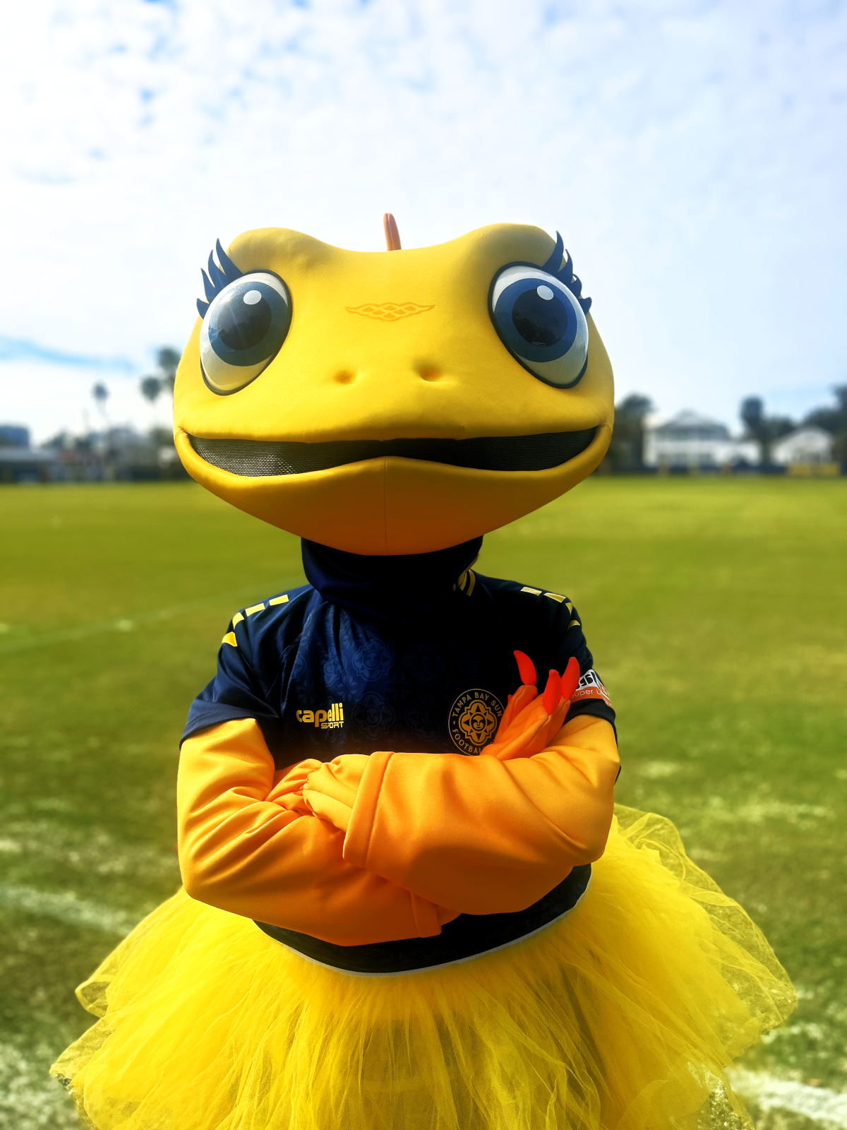 Tampa Bay Sun Game Day: Match Preview and Highlights